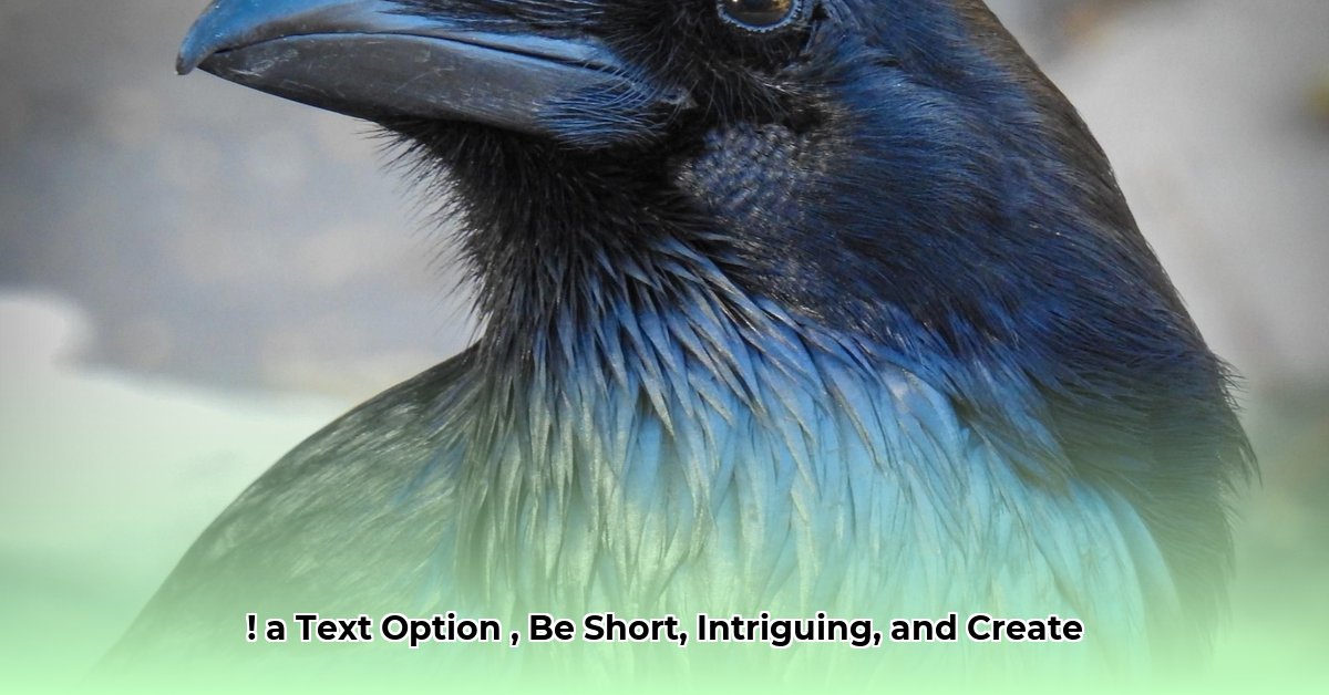 raven-tracy-net-worth